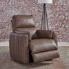 Reilly SG Recliner P3