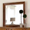 Grandpa's Cabin Mirror in Age Oak image