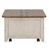 Farmhouse Reimagined Storage Trunk in Antique White image