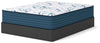 Limited Edition Firm 3.0 Mattress