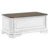 Magnolia Manor Storage Trunk in Antique White image