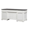 Allyson Park Desk