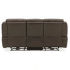 Carrington Sofa P3 & ZG in Dark Brown image
