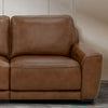 Blake R Arm Recliner P2 & ZW image