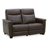 Crawford Loveseat P3 & ZG