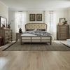 Americana Farmhouse Queen Shelter Bed, Dresser & Mirror, Chest, Night Stand image