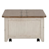 Farmhouse Reimagined Storage Trunk in Antique White