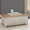 Farmhouse Reimagined Storage Trunk in Antique White image