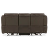 Carrington Sofa P3 & ZG in Dark Brown