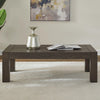 Cascade Falls Rectangular Cocktail Table image