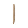 Proximity Place Landscape Mirror