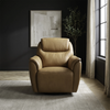 Romy Sg Recliner P3 & Zg image