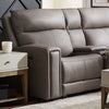 Camden L Arm Recliner P3 & ZW image