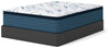 Limited Edition Plush PT 3.0 Mattress