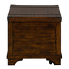 Aspen Skies Storage Trunk in Russet Brown image