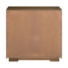 Easton 2 Door Accent Cabinet image
