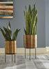 Donisha Planter (Set of 2)