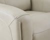 Pincara Power AutoGlide Recliner - Ashton Home Furniture (GA)