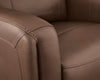 Pincara Power AutoGlide Recliner - Ashton Home Furniture (GA)