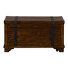 Aspen Skies Storage Trunk in Russet Brown image