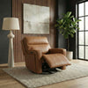 Chase SG Recliner P3 & ZG image