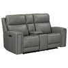 Camden Loveseat w/ Console P3 & ZW image