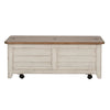Farmhouse Reimagined Storage Trunk in Antique White image